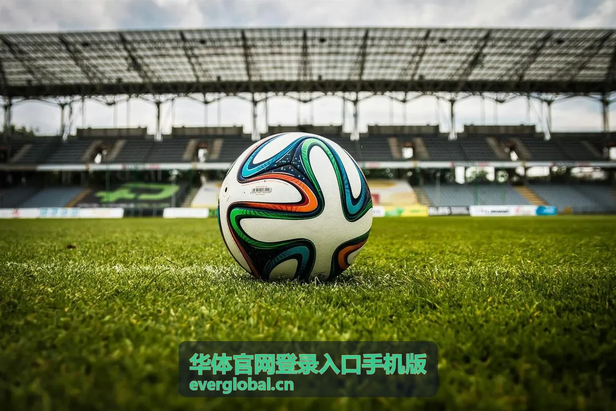 华体官网登录入口手机版登录异常提示截图示例