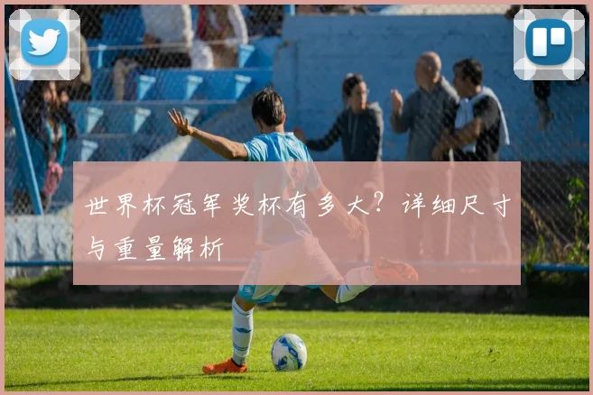 世界杯冠军奖杯有多大？详细尺寸与重量解析