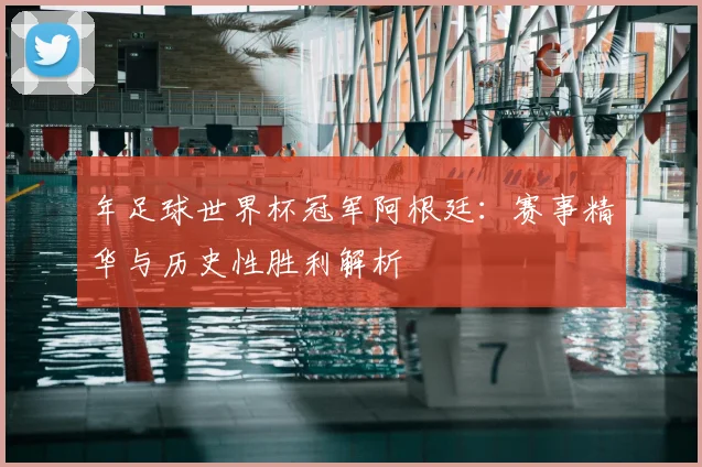 年足球世界杯冠军阿根廷：赛事精华与历史性胜利解析