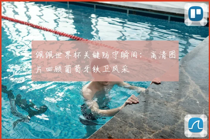 佩佩世界杯关键防守瞬间：高清图片回顾葡萄牙铁卫风采