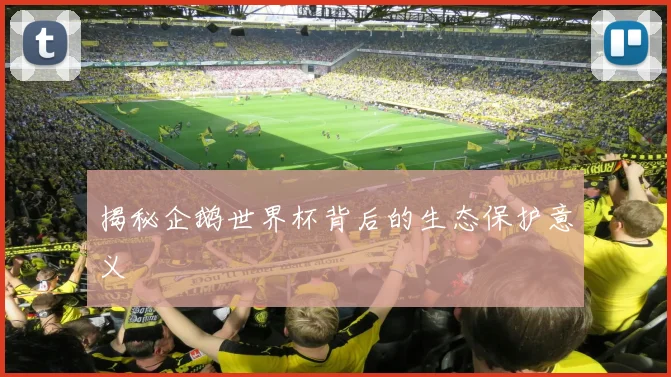 揭秘企鹅世界杯背后的生态保护意义