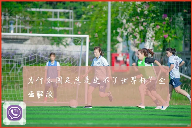 为什么国足总是进不了世界杯?全面解读