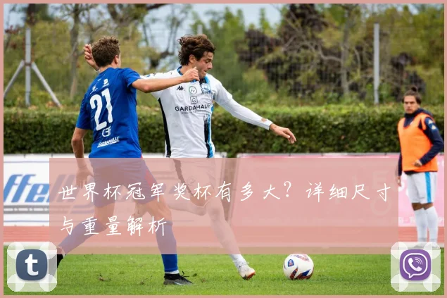 世界杯冠军奖杯有多大？详细尺寸与重量解析