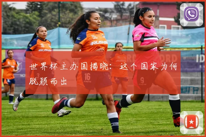 世界杯主办国揭晓：这个国家为何脱颖而出