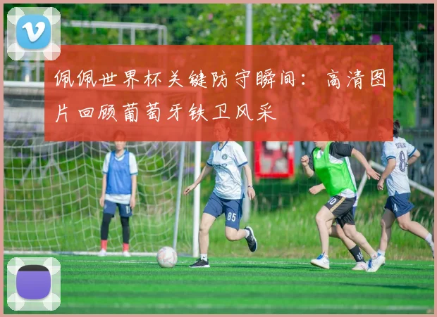佩佩世界杯关键防守瞬间：高清图片回顾葡萄牙铁卫风采