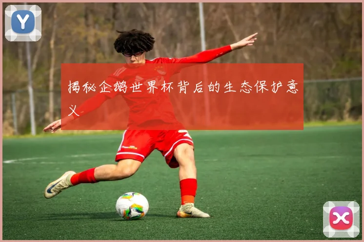 揭秘企鹅世界杯背后的生态保护意义