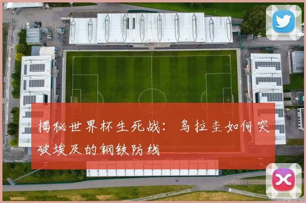 揭秘世界杯生死战：乌拉圭如何突破埃及的钢铁防线